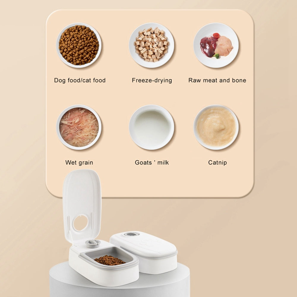 Automatic Pet Feeder Smart Food Dispenser For Cats Dogs Timer Stainless Steel Bowl Auto Dog Cat Pet Feeding Pets Supplies - KeMalls