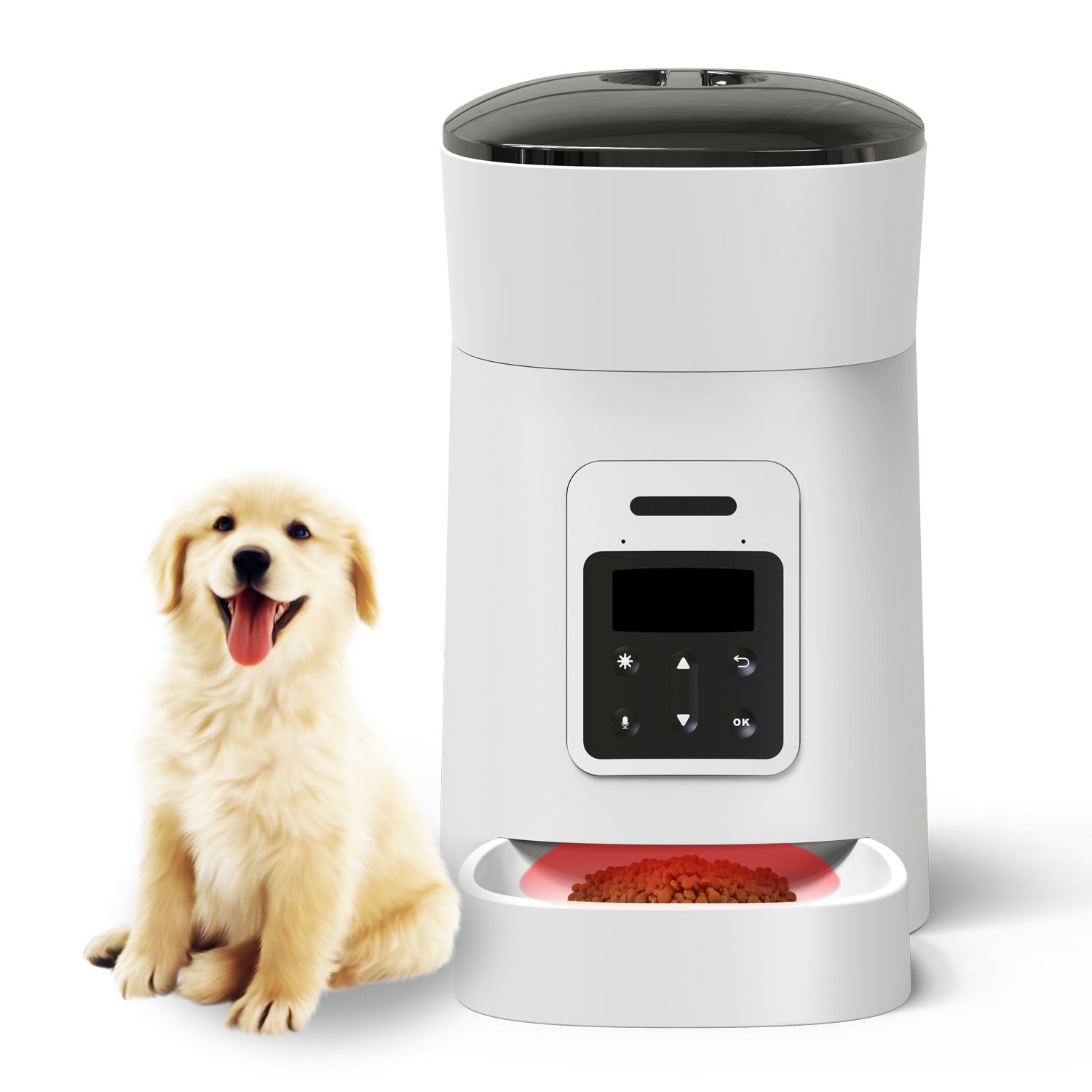 Automatic Dog Feeder